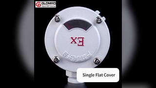 Hộp nối chống cháy nổ GLO-AH