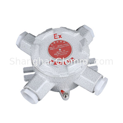 Anti-Corrosion AH-IIC Type D Quadruple Flat Box, Exd IIC T6, IP65, 220/380V Stable Cable Routing