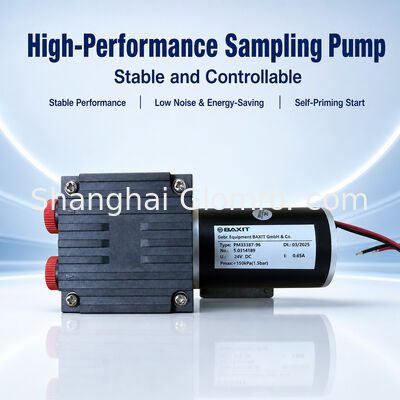 BAXIT PM33387-96 Diaphragm Gas Sampling Pump DC24V Brushless Vacuum Pump for CEMS Flue Gas Analysis