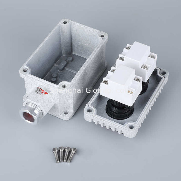 Explosion Proof Control Button with Green Light WF1 Grade