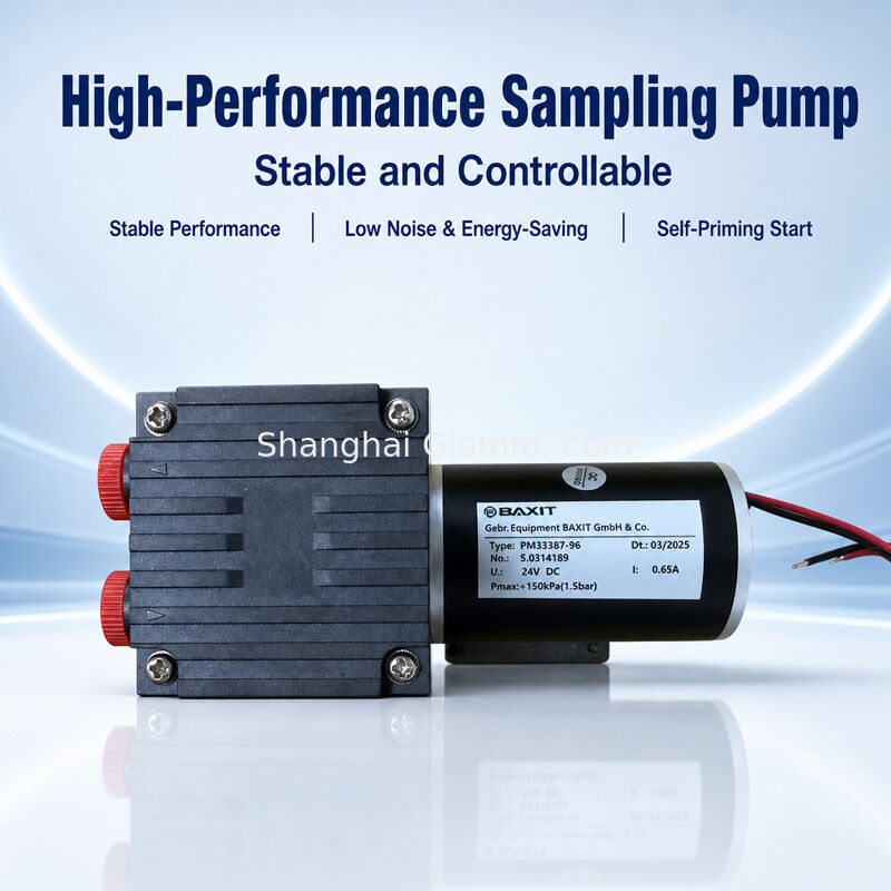 BAXIT PM33387-96 Diaphragm Gas Sampling Pump DC24V Brushless Vacuum Pump for CEMS Flue Gas Analysis