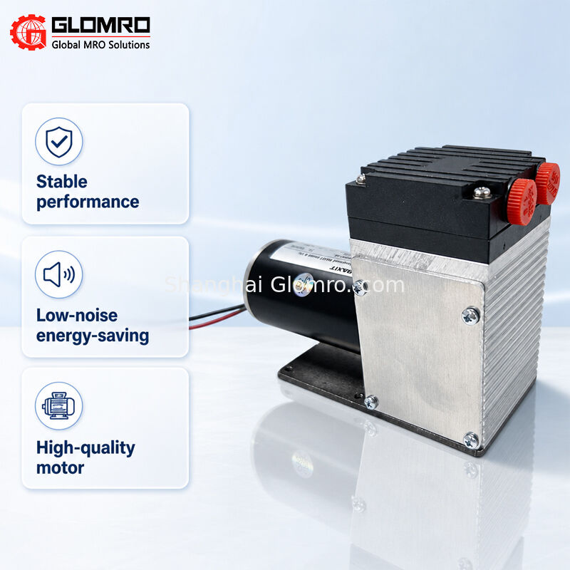 BAXIT PM33387-96 Corrosion Resistant Gas Sampling Pump DC24V Micro Diaphragm Pump for CEMS VOC Flue Gas Sampling