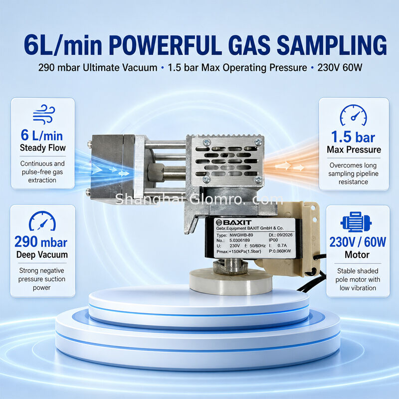 BAXIT NWGWB-89 High Temperature Diaphragm Sampling Pump Oil-free Vacuum Pump for CEMS Flue Gas VOC Monitoring