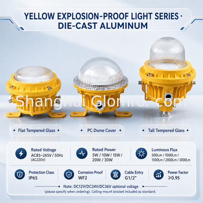 Đèn LED chống cháy nổ chịu tải nặng GLOMRO 30W SMD 3000Lm AC85V-265V cho nhà máy lọc hóa dầu