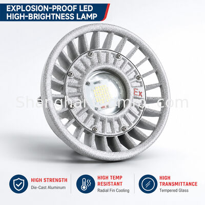 Đèn LED chống cháy nổ 20W/30W/40W/50W/60W/70W/80W/100W/120W IP66 Nhôm đúc chiếu sáng khu vực nguy hiểm nhiều tùy chọn công suất